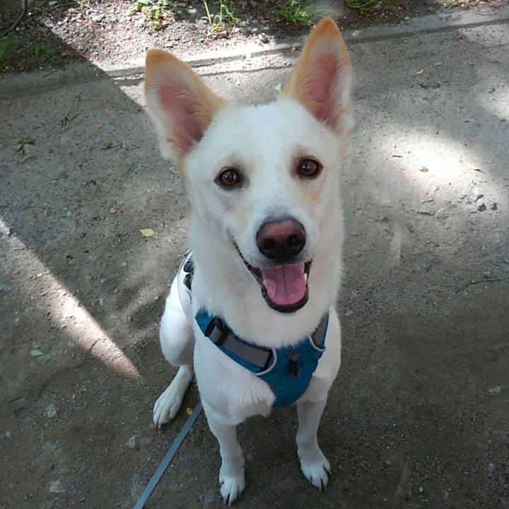 554f87d1 1a30 4a65 a093 aa2780d9add6