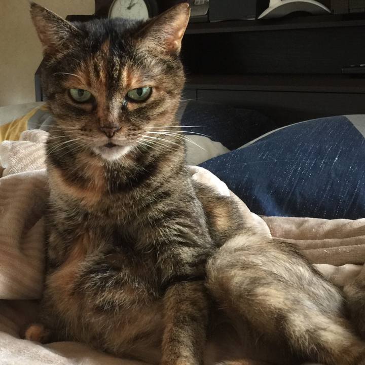 55502f6a 4f39 45c2 8ff7 f2db91c1a8c7