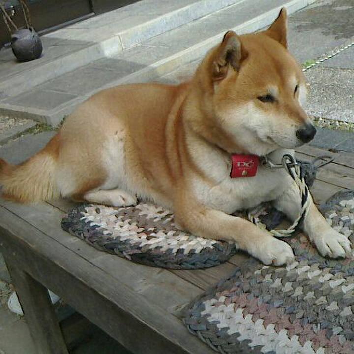 5550fda3 3e70 4a2d a890 52900a0ea704