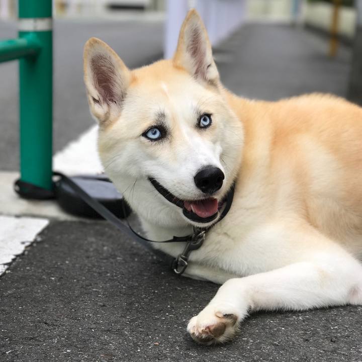 55510f2c 34ad 44a6 b369 3becde7f5732