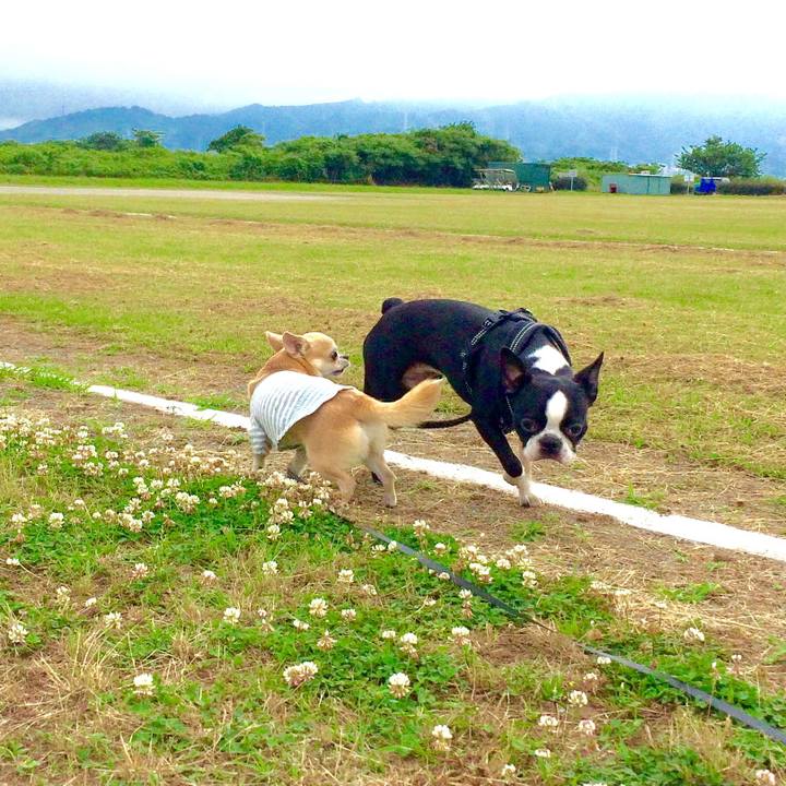 5551650c 68a0 4dd7 94e4 8a9367be20e1