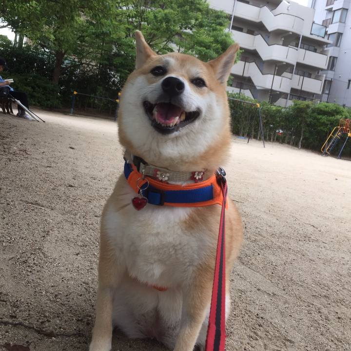 55519056 5ab6 4c1e 9df0 f20ab7b187dc