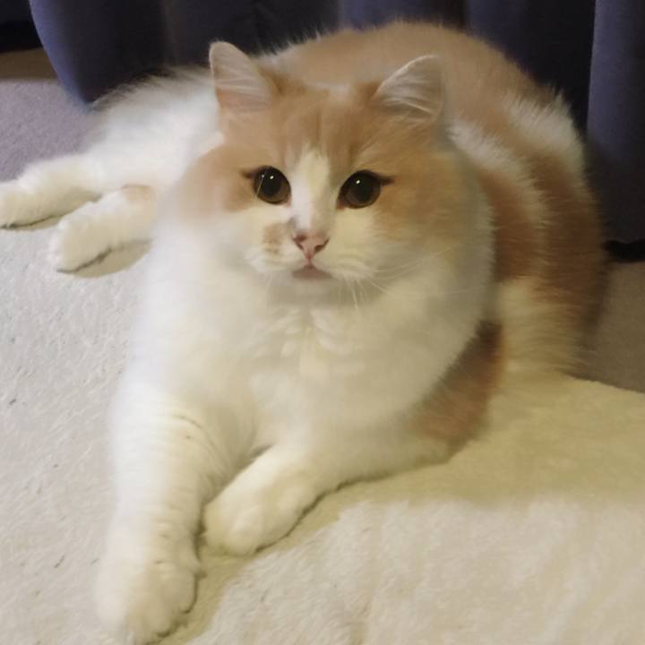 5551dd1d d8ac 4b4c a28f a1f9157e309d