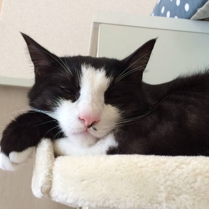 55521672 92ed 4ff5 852b 9038f95a1670