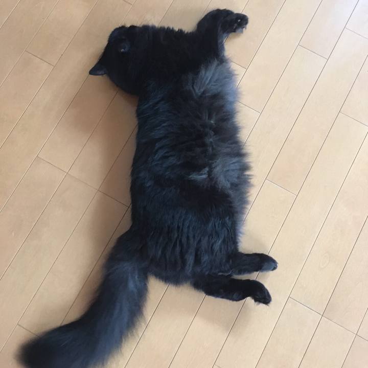 55522ba8 a18b 41ff 9e12 bfbfdf0f33eb