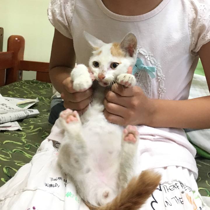 55525df1 4d77 44ee af14 9f06960ce205