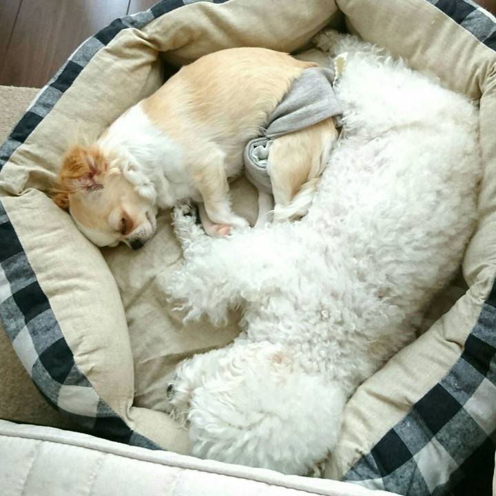 55527704 1e69 46fb 99ad 9e73f555f5b6