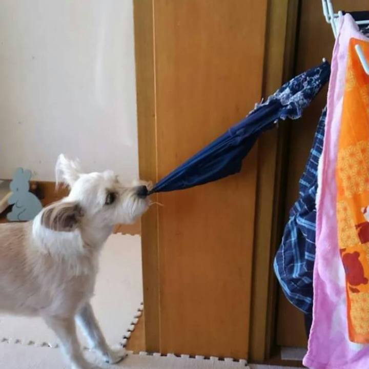 5552b3fd da02 436d a31a a4947637932c