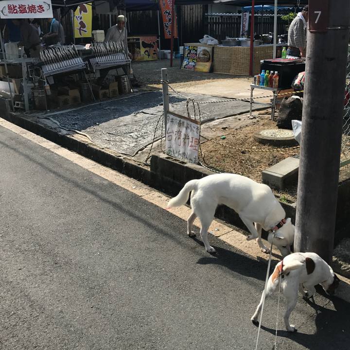 5552da7e c68f 4f78 9dd4 b8323232cb91