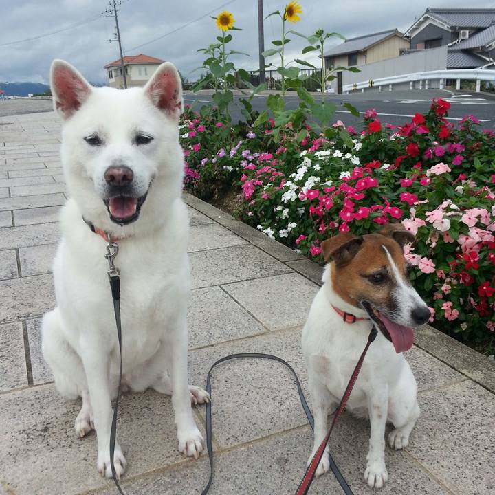 55535527 838f 48a0 a394 3267ea13f22b