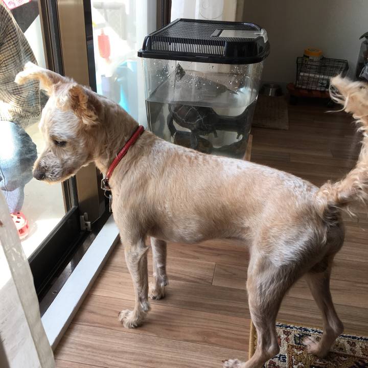 55537fde af7e 4bf9 a417 9e5ff44eacf3