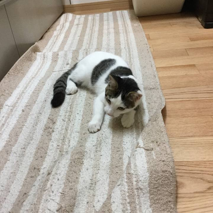 555418ad 2b5f 4446 a62f 6221e0cf7d7e