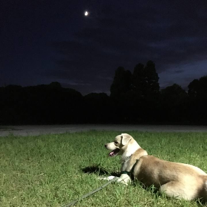 55545888 f51d 4c5e 838d d0fafb35bef5