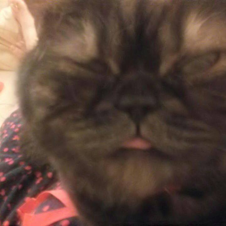 555480ec 628c 465e 8aea 4ddde3a2d031