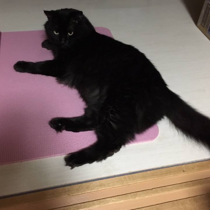 5555135d ebf3 4041 96c1 5e82a61c62fc