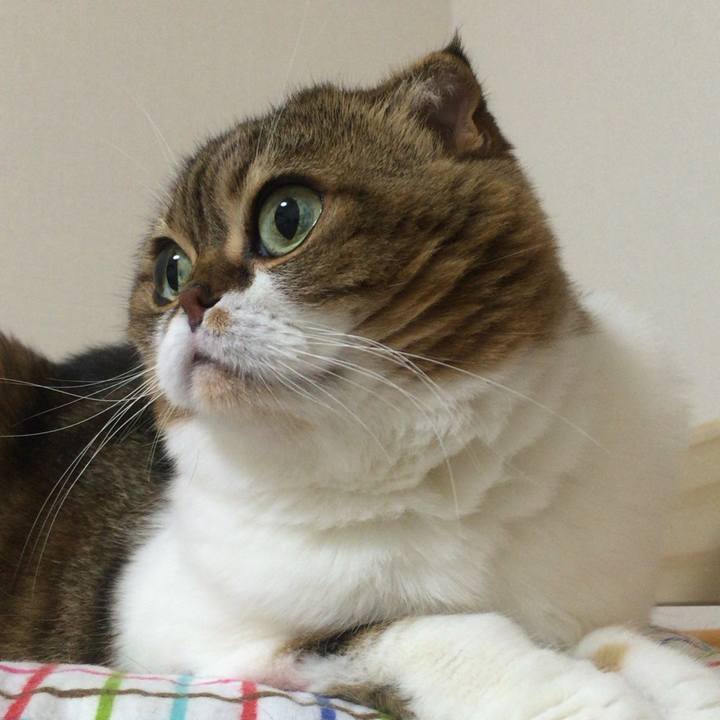 55554d0b 6c34 410d a6cf b14743cecd67