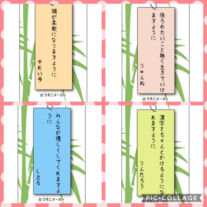 55558377 73e8 4009 9de3 215cb60fbbfb