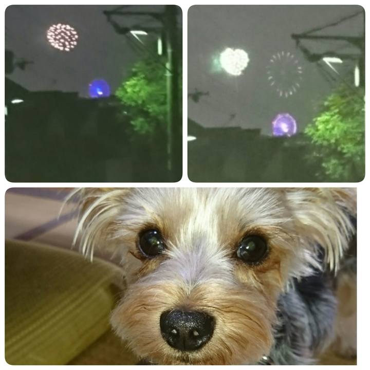 5556024b b322 4c6a be17 4fc5ceb88f37