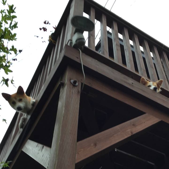 555625ee 5a80 4a05 9d09 8b5beb3b6341