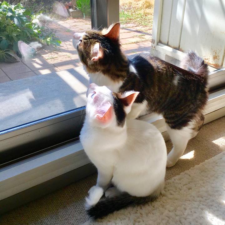 5556ceed 5cee 4ba5 88dc 51dd1dadbc11