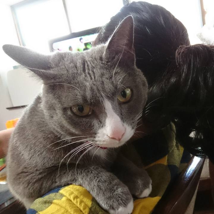 5556ea18 e53e 498c a714 6ba731ea7b53