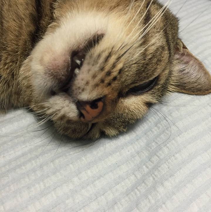 555722ad a4f6 48a1 a925 3f6a888277d7