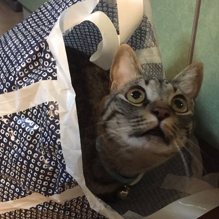 55574a6e 2eb2 45d1 84da 8c8378336acf