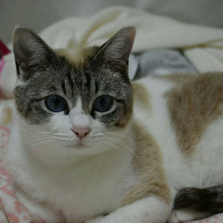 55580bce 01db 4789 a57f ac5e4b0f03dc