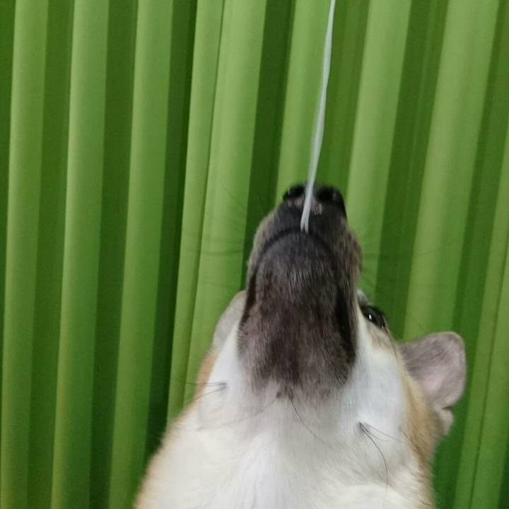 55582624 6807 45e2 99d8 95c0ba6e9b7a