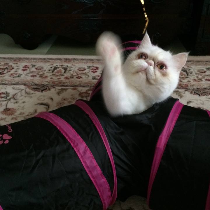 5559342c b4a1 4196 b437 f58e39df38c3