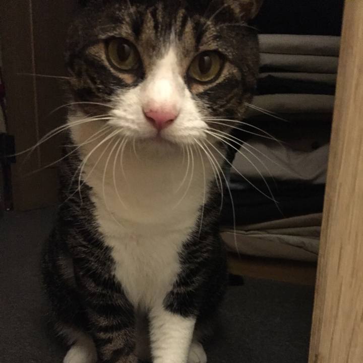 5559c0cb b30d 49e0 b04d 4677c3cd6253