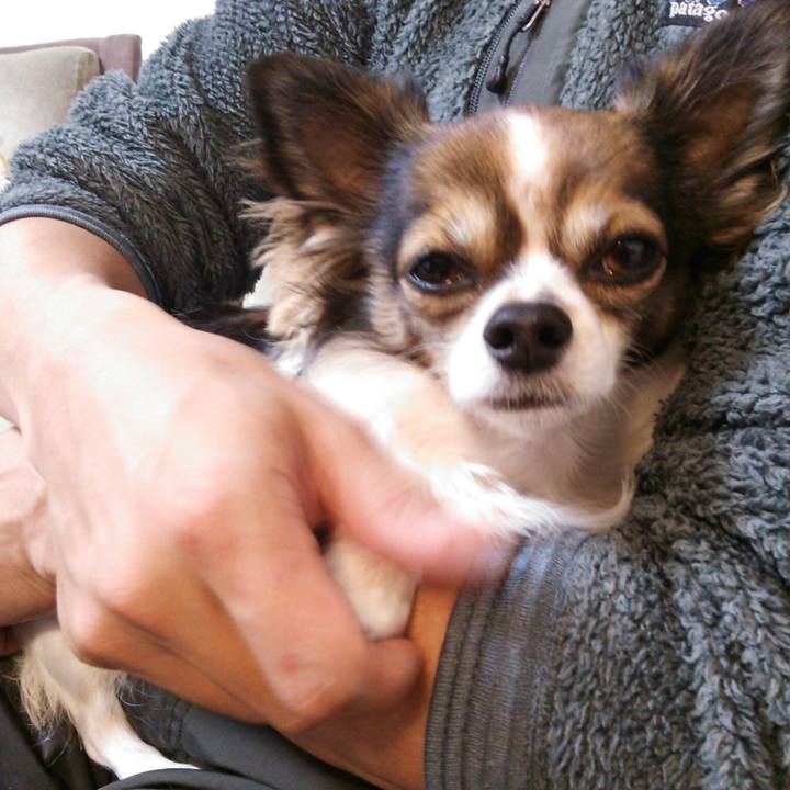 5559f96b 318a 4c21 97c7 7a806c4205f2