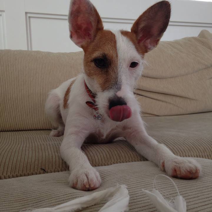 555a981c e59f 4548 bc1e 743c2ad89ff5