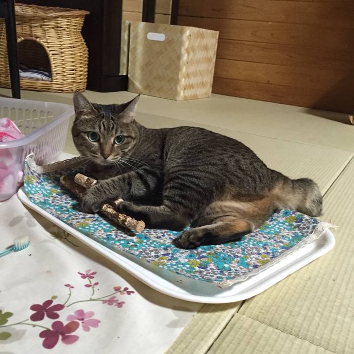 555ad4f0 2f9e 48f2 9e30 09c5b5931fdb