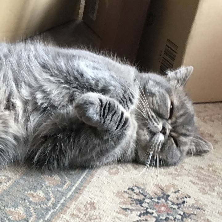 555adab5 bca5 4407 9866 5433e810a6bb