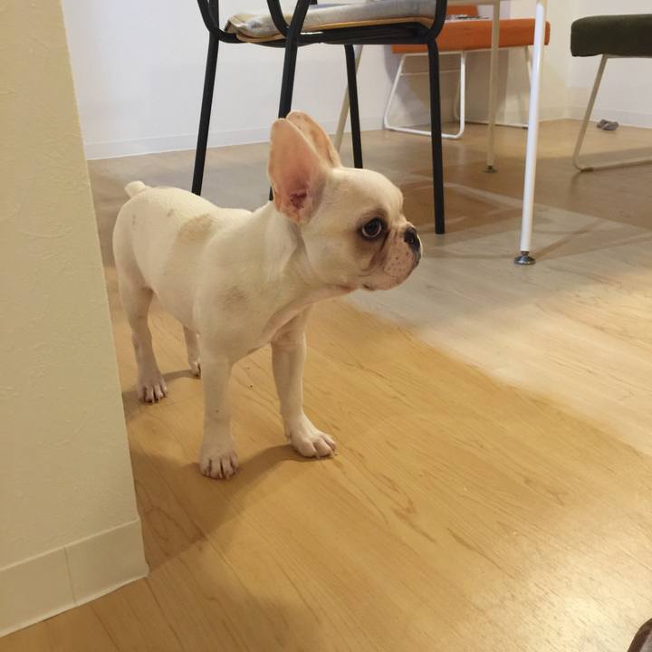 555af2cf cb9e 48c5 84f2 9eb3c682c00f