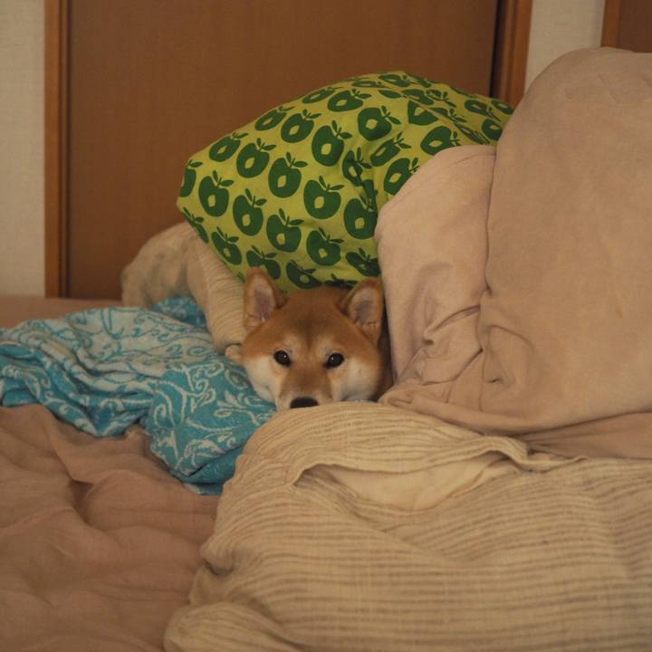 555bd487 1f38 40c8 a7cb 88209be372a6