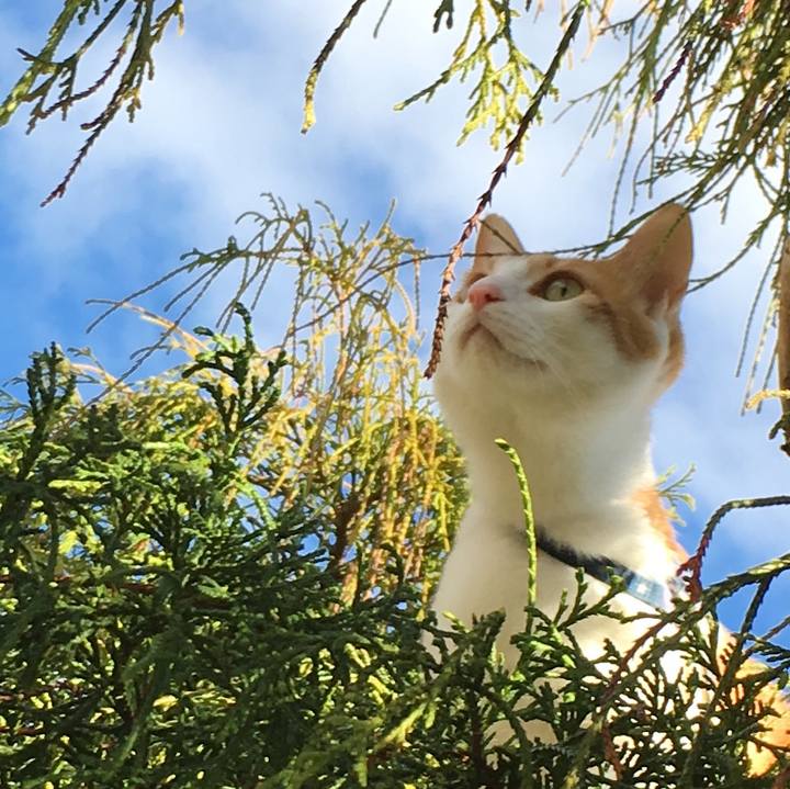 555bff61 6889 4063 b059 44335ce9682e