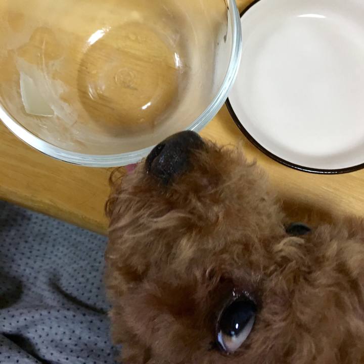 555c6520 64c6 4a5e 8a72 c66866214a0c