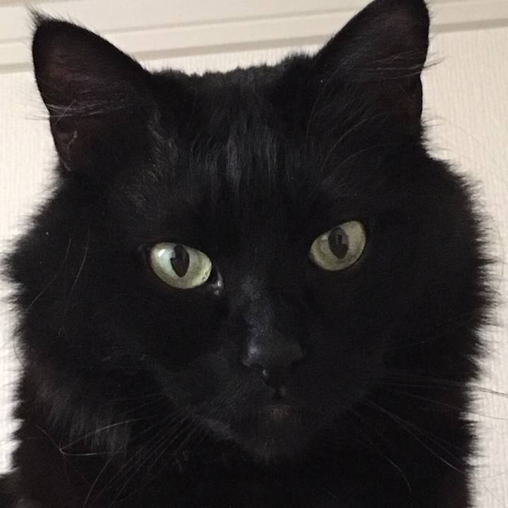 555c71b1 706a 4ae1 9adf 8748b27b1216