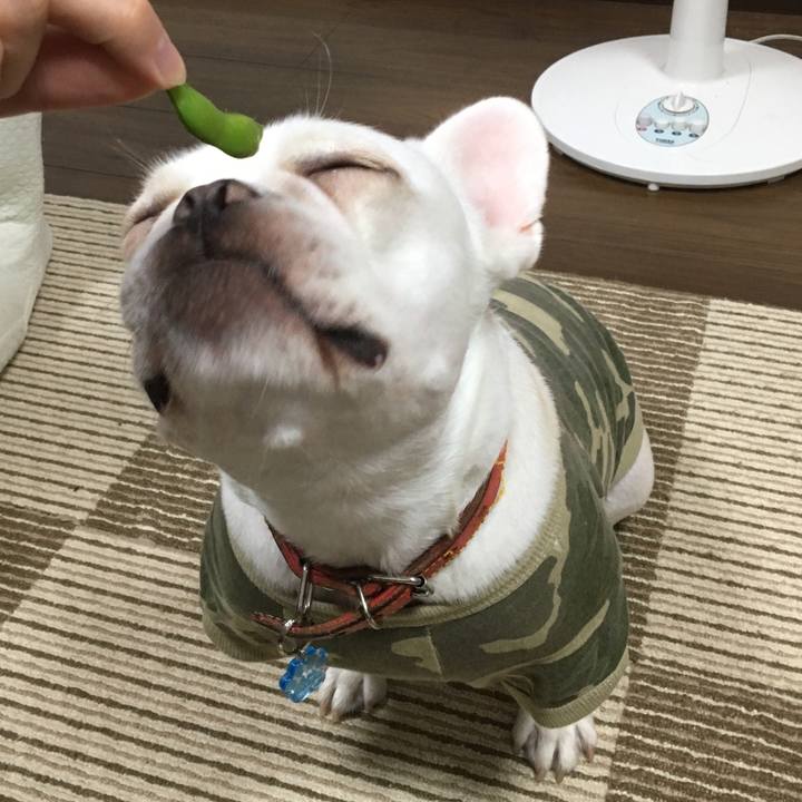 555cae48 be4b 488c 9bd8 54b04489b72e