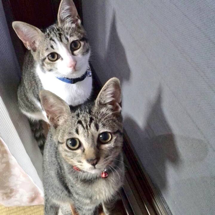 555d10f9 db55 438d 96a6 c082c3bc6a1c