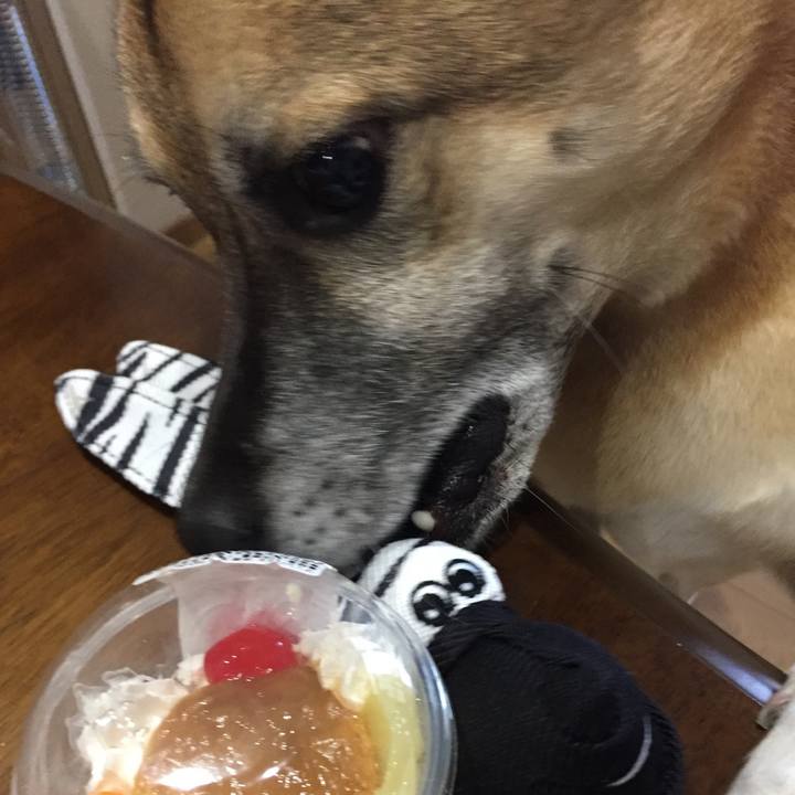 555d4a42 8023 43eb a7f1 051aef254910