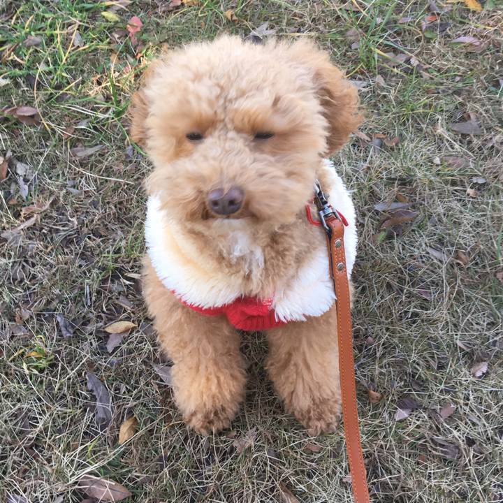 555d4ee9 92d2 4a56 961f 48d100ae3077