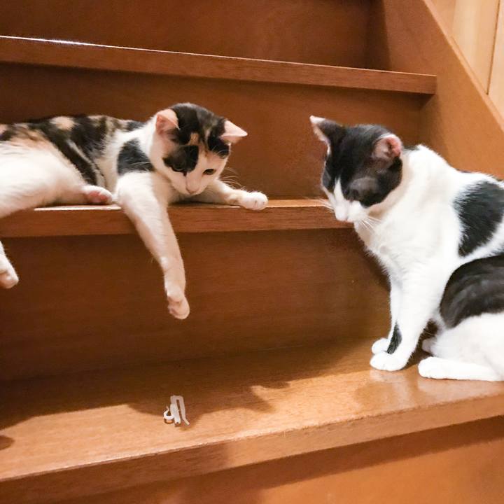 555d7eaa 333b 4c97 a1ec d61b1af145d4