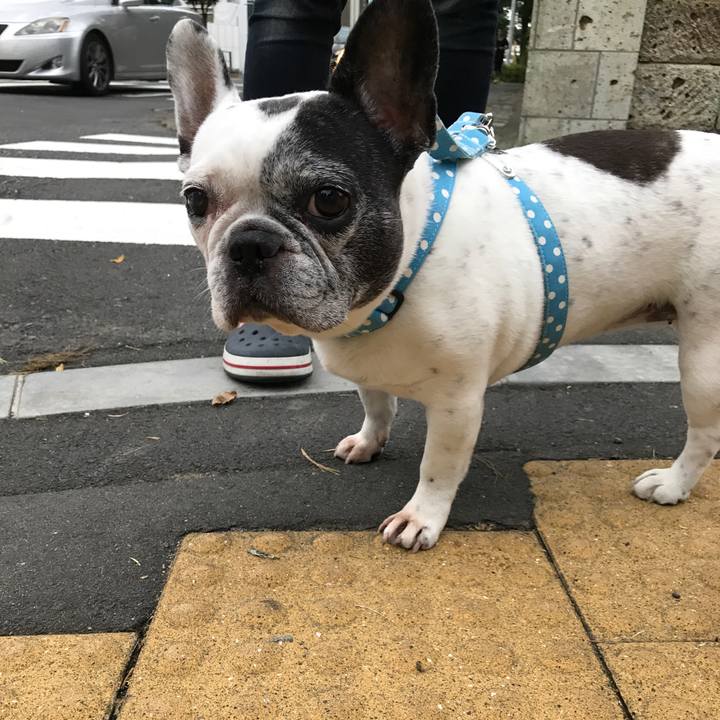 555f0b4a f182 46ba ae3e 80e0b00f2b17