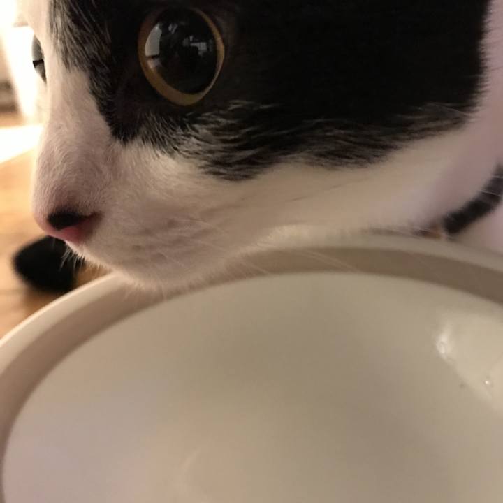 555f3832 a163 44d0 83f2 4cc5d62e2d25