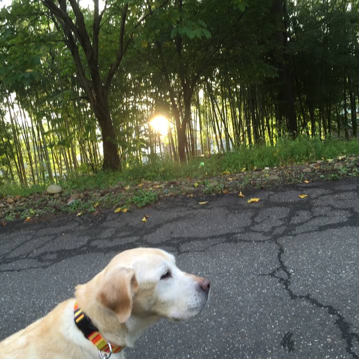 555fa7e9 3a1c 4e60 8b67 3f53b04da294