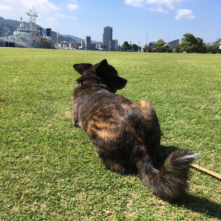 555fc7c7 4626 40ff 832e e63034930fd0