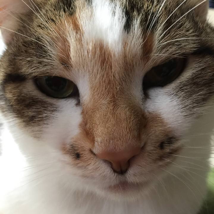 555ffac3 7f6d 467b be81 9fc3ce417476